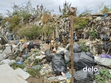 Фото 2 — Украина не перерабатывает 95% отходов. Производителей хотят обязать утилизировать мусор