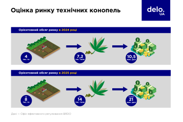 Фото 2 — Рентабельність технічних конопель може сягати 180%. Що стримує бурхливий ріст цієї культури