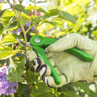 Фото 4 — Leroy Merlin підготувався до нового дачного сезону: як створити простір для натхнення та відпочинку