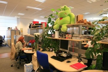 Фото 15 — Philips: сотрудники — сами строители своей карьеры