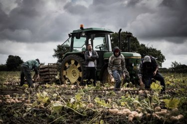 Фото 2 — Невидимые люди: Как выглядит сегодня современное рабство