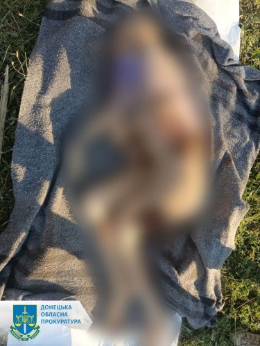 Фото 3 — Возле Константиновки от ракетного удара погиб мужчина, город оккупанты тоже обстреляли (ФОТО)