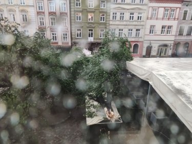 Фото 5 — Во Львове из-за сильной бури затопило улицы и повалило деревья (ФОТО, ВИДЕО)
