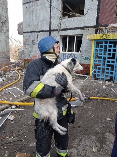 обстрел запорожье 22 марта 2023