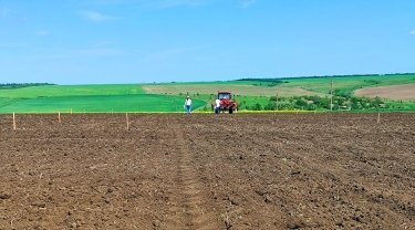 Фото 6 — В Одесской области засеяли первые экспериментальные поля хлопка (ФОТО)