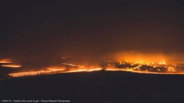 Фото 3 — Во Франции разожгли тысячи костров, чтобы спасти виноградники от мороза (ФОТО)