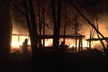 Фото 2 — В Харьковской области заживо сгорели 50 свиней (ФОТО)