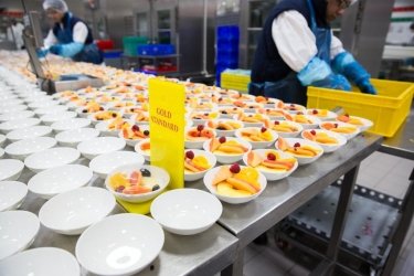 Фото 5 — С 16 января украинцы смогут летать в Дубай первым классом