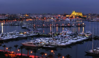 Фото 2 — Просто Palma