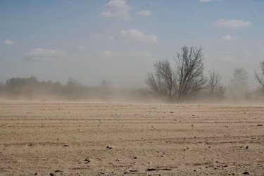 Фото 3 — Создателю "Дюны" 100 лет. Почему проблемы пустынного бестселлера сегодня близки Украине