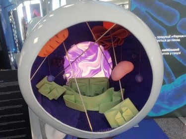 Фото 3 — Как Тони Старк: украинцы смогут создать лекарство в виртуальной реальности