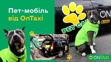 Фото 4 — Як в OnTaxi «влаштували на роботу» пса-водія. Наймиліша історія в ситуативному маркетингу