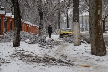 Фото 31 — На юге Украины из-за снега закрыли дороги, фуры не пускают даже в Киев (ФОТО, ВИДЕО)