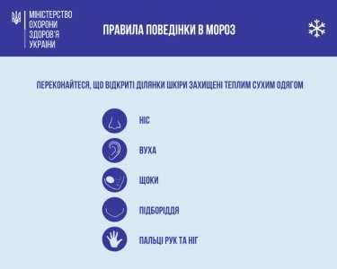 Фото 3 — В Украину пришли морозы: самая исчерпывающая инструкция, как уберечься от холода