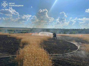 Фото 5 — Россия уничтожает урожай украинских фермеров, нанося удары FPV-дронами по полям