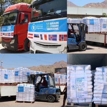 Фото 2 — Україна відправила в Палестину перші 1000 тонн борошна у межах Grain from Ukraine