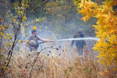 Фото 16 — Пожары в Луганской области: количество погибших возросло до девяти человек (ФОТО, ВИДЕО)