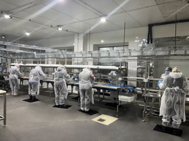 Фото 2 — Якість, довіра та понад 20 тисяч тонн імпорту щорічно: чому Kramar LTD є надійним постачальником риби для бізнесу та клієнтів