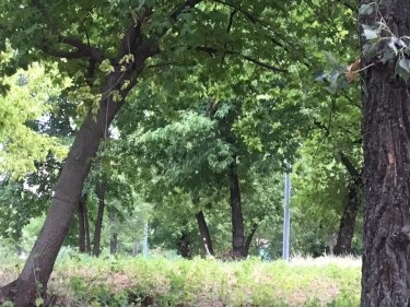 Фото 5 — Кто из представителей финансового рынка Украины идет в парламент