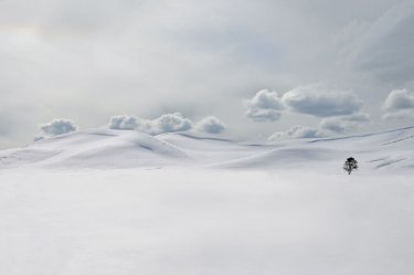 Фото 21 — Люди и звери на фото ежегодного конкурса National Geographic