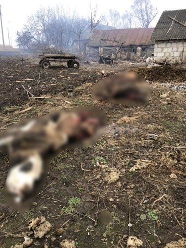 Фото 10 — На Сумщине обстрелом из РФ разрушен дом в пограничном себе: внутри чудом выжил парень (ФОТО)