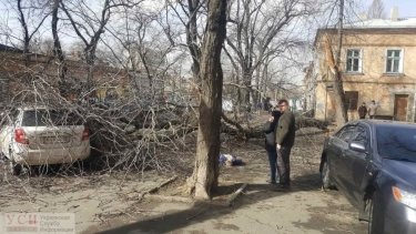 Фото 2 — Ураганный ветер накрыл Южную Украину: есть жертвы (ФОТО, ВИДЕО)