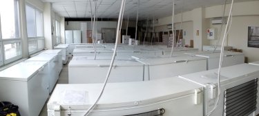 Фото 3 — Логистический драйв или как DSV ведет бизнес в Украине