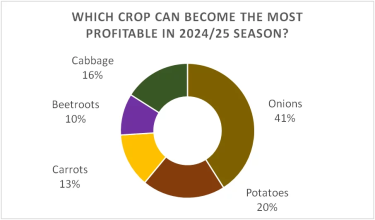 Фото 2 — Цибуля може стати найбільш прибутковою овочевою культурою в новому сезоні