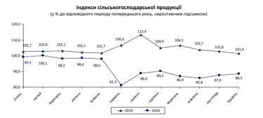 Фото 2 — В Украине падение агропроизводства за 2020 год превысило 11%