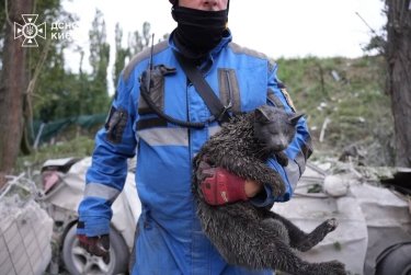 Фото 3 — Росія завдала масованого удару по Києву: є загиблі, десятки постраждалих, зруйновано цілий під’їзд (ФОТО)