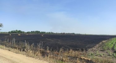 Фото 14 — Россия уничтожает урожай украинских фермеров, нанося удары FPV-дронами по полям