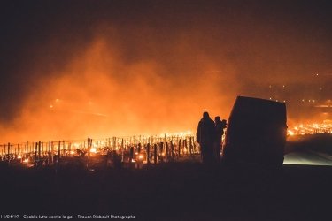 Фото 4 — Во Франции разожгли тысячи костров, чтобы спасти виноградники от мороза (ФОТО)