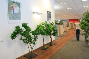 Фото 10 — Philips: сотрудники — сами строители своей карьеры