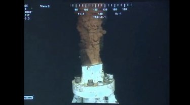Фото 14 — Названы причины аварии на нефтяной вышке BP в Мексиканском заливе