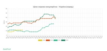 Фото 2 — В Україні дешевшає морква: фермери розпродають запаси зі сховищ