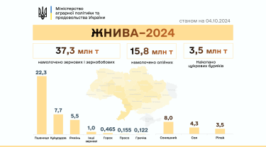 Фото 2 — Жнива-2024: аграрії завершили збір пшениці, ячменю та гороху