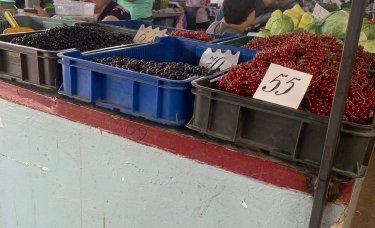 Фото 8 — В Украине "скачут" цены на ягоды: что и когда подорожает
