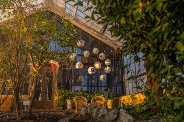 Фото 3 — В Києві на ВДНГ відкривають оранжерею