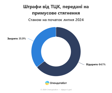 Фото 3 — Майже 12 тисяч штрафів склали ТЦК від початку року: як перевірити свої дані