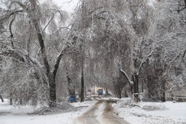Фото 33 — На юге Украины из-за снега закрыли дороги, фуры не пускают даже в Киев (ФОТО, ВИДЕО)