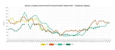 Фото 2 — На ринку надлишок продукції: ціни на тепличні огірки в Україні падають щодня