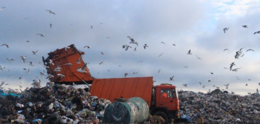 Фото 5 — "Горячая семерка": какие экологические проблемы нужно срочно решать Киеву (ФОТО)