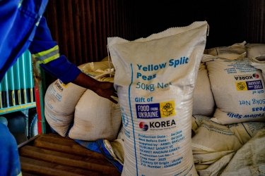 Фото 2 — Україна відправила до Малаві першу партію продовольчої допомоги: чому це важливо
