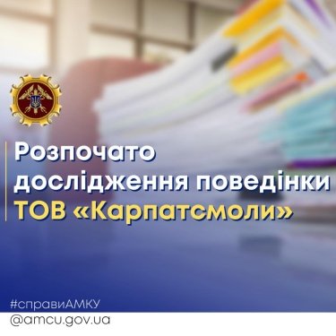 Фото 2 — АМКУ начал проверять "Карпатсмолы" из-за жалоб отечественных производителей ДСП и мебели