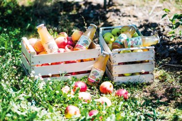 Фото 3 — Варто зайняти свою нішу і не дурити споживача — виробник соків "Сади Прикарпаття"