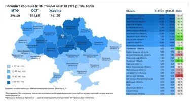 Фото 2 — В присадибному секторі скорочується поголів’я корів: які причини та прогноз для галузі