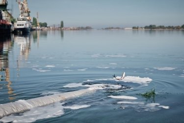 Фото 5 — Почти 67 тонн: в Украине началась кампания зарыбления водоемов (ФОТО)