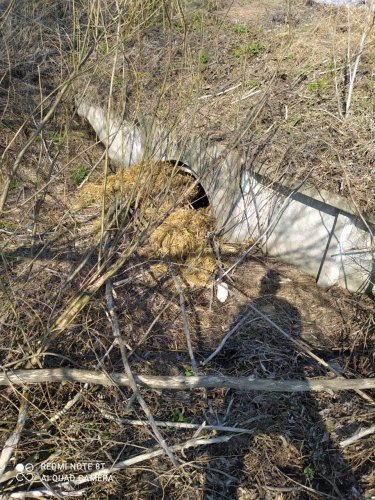 Фото 2 — Зарезали и выбросили в канаву: Под Киевом нашли тело активиста-ветерана АТО