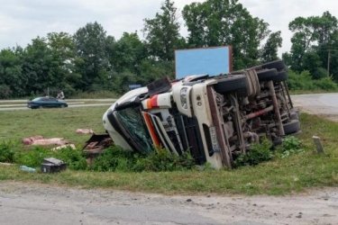 Фото 4 — В Хмельницкой области перевернулся грузовик со свиньями: погибли десятки животных (ФОТО)