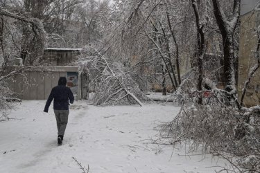 Фото 56 — На юге Украины из-за снега закрыли дороги, фуры не пускают даже в Киев (ФОТО, ВИДЕО)